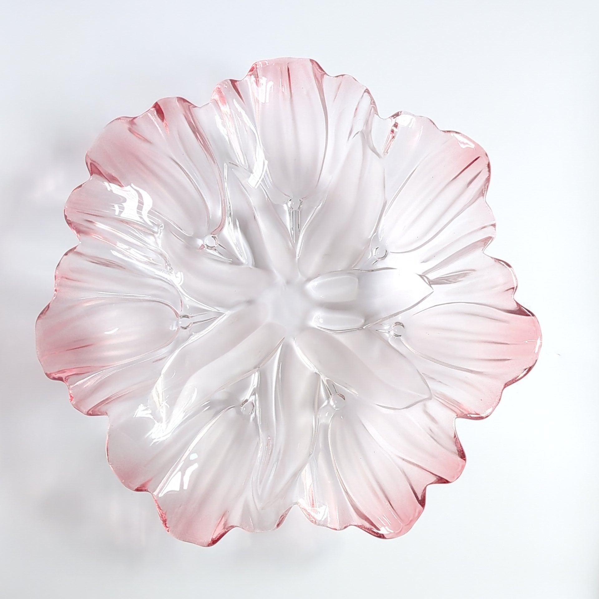 Walther - Plate (Large)