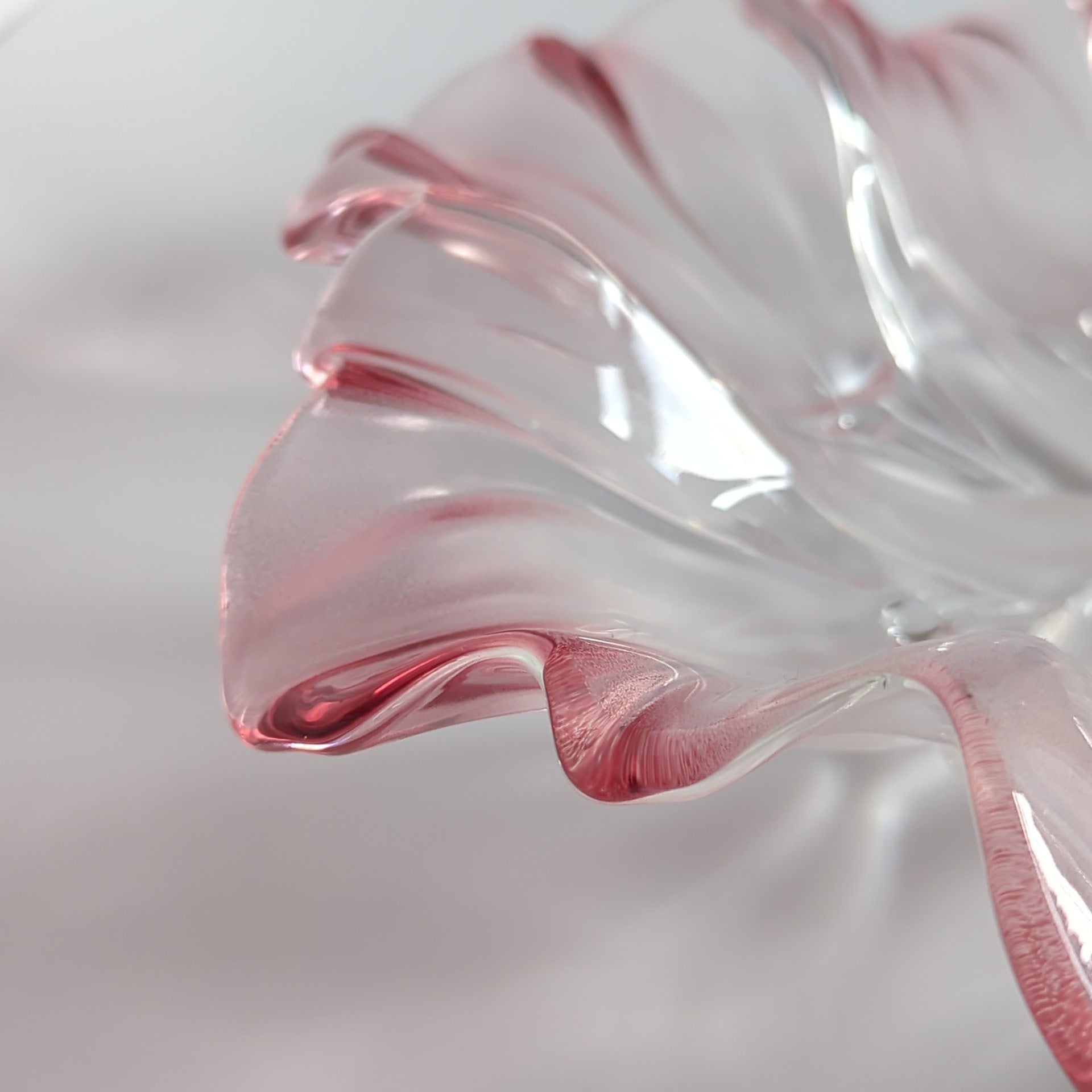 Walther - Plate (Large)